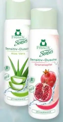 Handelshof Frosch Senses Duschgel Angebot