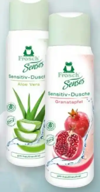 Handelshof Frosch Senses Duschgel Angebot