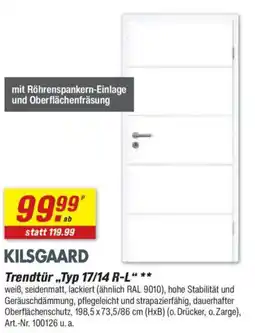 toom Baumarkt KILSGAARD Trendtür „Typ 17/14 R-L" Angebot