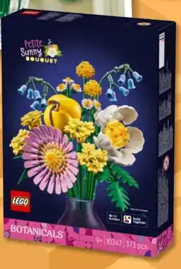 PENNY LEGO Botanicals Kleiner Sommerstrauß 10347 Angebot