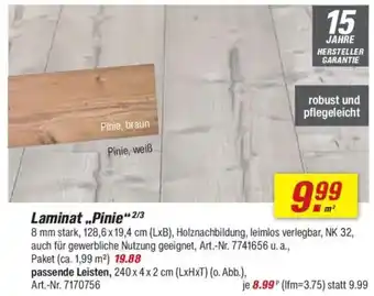 toom Baumarkt Laminat „Pinie" Angebot