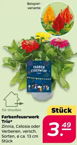 NETTO Farbenfeuerwerk Trio Angebot
