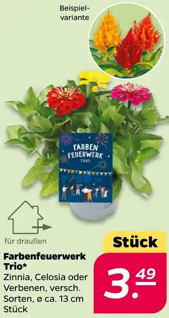 NETTO Farbenfeuerwerk Trio Angebot