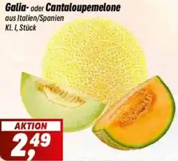 Simmel Galia- oder Cantaloupemelone Angebot