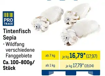 METRO Tintenfisch Sepia Angebot