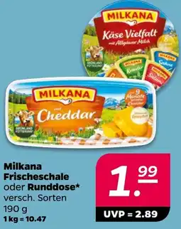 NETTO Milkana Frischeschale oder Runddose Angebot