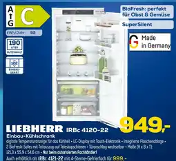 Euronics Liebherr irbc 4120-22 Angebot