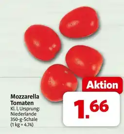 Markant Mozzarella tomaten Angebot