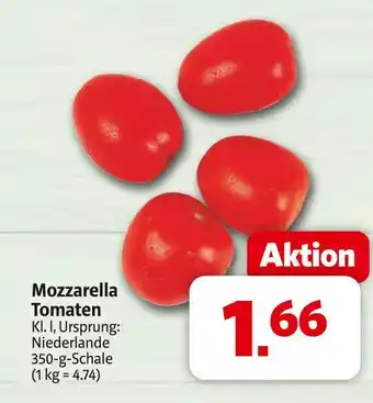Markant Mozzarella tomaten Angebot