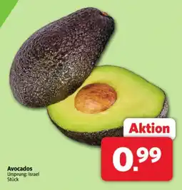 Markant Avocados Angebot