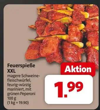 Markant Feuerspieße xxl Angebot
