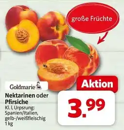 Markant Goldmarie nektarinen oder pfirsiche Angebot