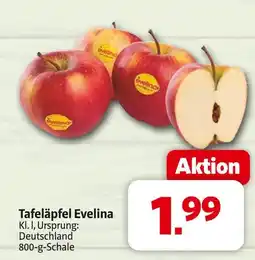 Markant Tafeläpfel evelina Angebot