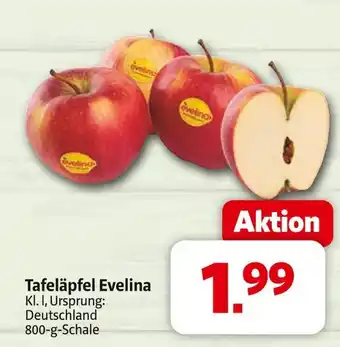 Markant Tafeläpfel evelina Angebot