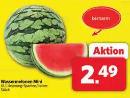 Markant Wassermelonen mini Angebot