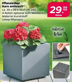 NETTO Pflanzkübel Karo anthrazit Angebot