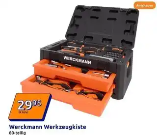 Action Werckmann werkzeugkiste Angebot