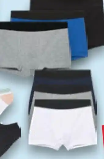 Kaufland Kuniboo Retroboxer 3-er Pack Angebot
