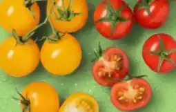 Kaufland Cherryrispentomaten Angebot