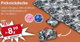 Sonderpreis Baumarkt Picknickdecke Angebot