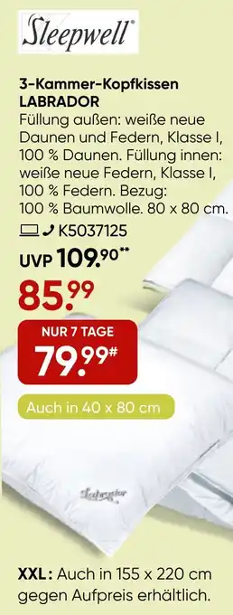 Galeria Sleepwell 3-Kammer-Kopfkissen LABRADOR Angebot