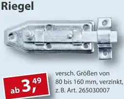 Sonderpreis Baumarkt Riegel Angebot