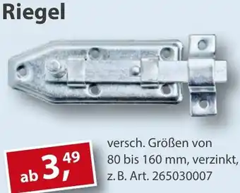 Sonderpreis Baumarkt Riegel Angebot