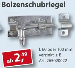 Sonderpreis Baumarkt Bolzenschubriegel Angebot