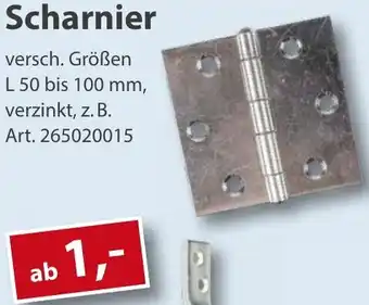 Sonderpreis Baumarkt Scharnier Angebot
