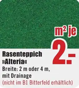 B1 Discount Baumarkt Rasenteppich Alteria Angebot