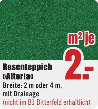 B1 Discount Baumarkt Rasenteppich Alteria Angebot