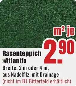 B1 Discount Baumarkt Rasenteppich Atlanti Angebot