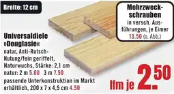 B1 Discount Baumarkt Universaldiele Douglasie Angebot