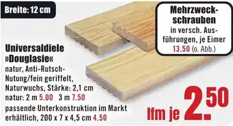 B1 Discount Baumarkt Universaldiele Douglasie Angebot