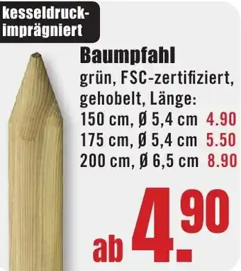 B1 Discount Baumarkt Baumpfahl Angebot