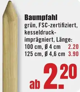 B1 Discount Baumarkt Baumpfahl Angebot