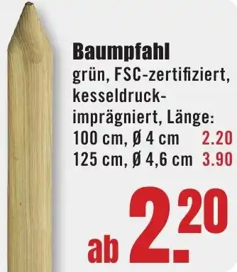 B1 Discount Baumarkt Baumpfahl Angebot