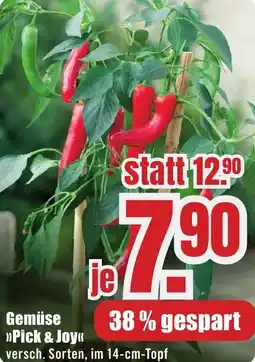 B1 Discount Baumarkt Gemüse Pick & Joy Angebot