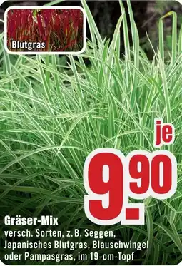 B1 Discount Baumarkt Gräser-Mix Angebot