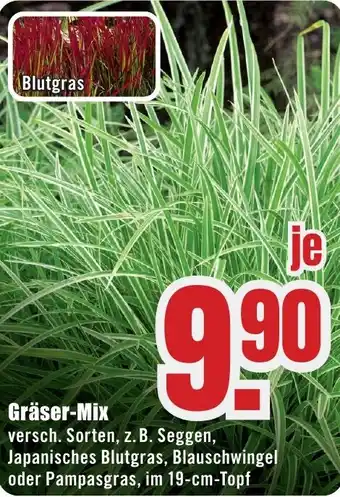 B1 Discount Baumarkt Gräser-Mix Angebot