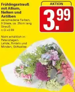 WEZ Frühlingsstrauß mit Allium, Nelken und Astilben Angebot