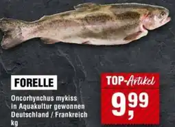 Handelshof Forelle Angebot