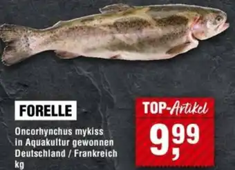 Handelshof Forelle Angebot