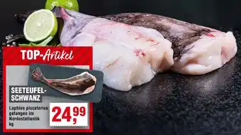 Handelshof Seeteufelschwanz Angebot