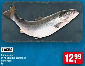 Handelshof Lachs Angebot
