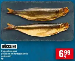 Handelshof Bückling Angebot