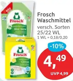Budni Frosch Waschmittel Angebot
