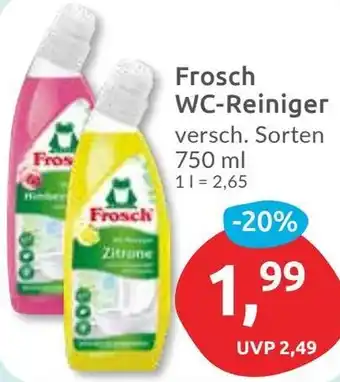 Budni Frosch WC-Reiniger Angebot