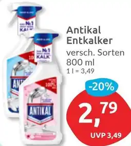 Budni Antikal Entkalker Angebot