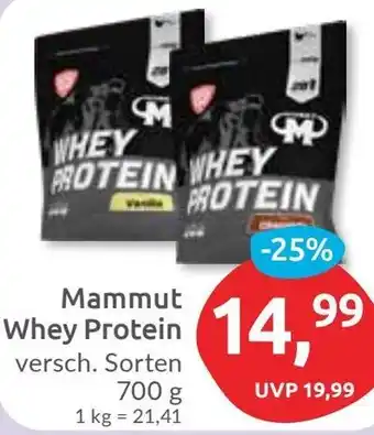 Budni Mammut Whey Protein Angebot